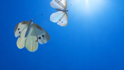 中3生のみなさんへ