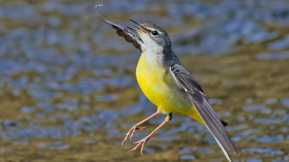 高校受験生のみなさん，おつかれさまでした。